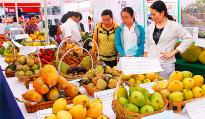 Khách tham quan gian hàng trái cây tại Festival Trái cây Việt Nam lần thứ I tại Tiền Giang.