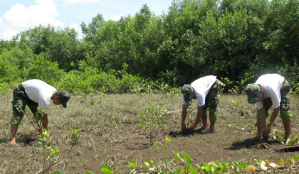 Forest planting. Photo: Huu Chi