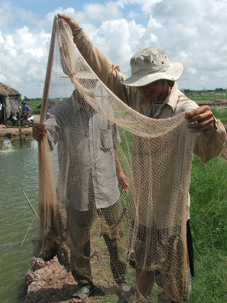 Photo for Illustration (Photo: Thai Thien).