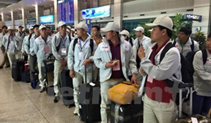 The first group of Vietnamese workers entered the Republic of Korea (RoK) on June 2 thanks to an extension of a memorandum of understanding (MoU) signed between Vietnam and the RoK (Source: VNA)