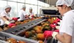 Fruit exports could reach US$2 billion