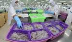 Shrimp exports could drop 17 percent in 2015