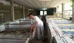 Breeding insects for export, a new industry for Vietnam