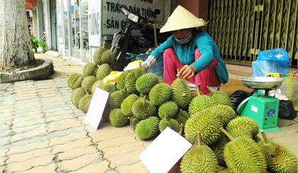 Nhiều người dân  mang trái cây  từ vườn ra bán  trên vỉa hè ở nhiều  tuyến đường tại TP. Mỹ Tho  (Ảnh chụp tại đường  Lê Thị Hồng Gấm).