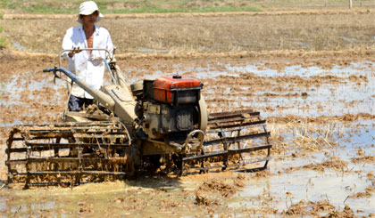 Dù làm nên cuộc “cách mạng” trong nông nghiệp nhưng Dự án NHGC đang đối mặt với không ít khó khăn, thách thức.