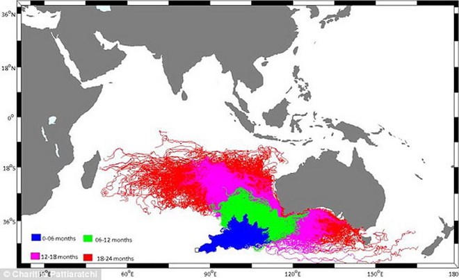  Sơ đồ dự đoán nơi xác máy bay dạt vào của các nhà hải dương học cách đây 1 năm.