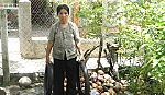 Bệnh sốt xuất huyết đang tăng mạnh