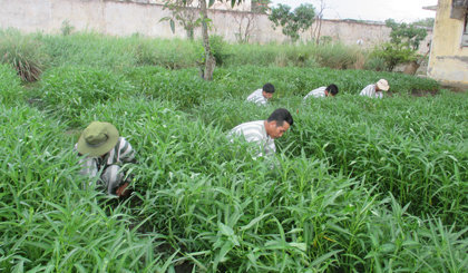 Phạm nhân đang lao động tại Trại tạm giam Công an tỉnh.