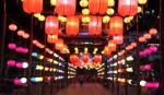 Vietnam's longest lantern road in Da Nang sets record