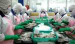 US lowers anti-dumping tax on Vietnamese shrimp