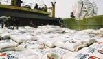 Vietnam to export 450,000 tonnes of rice to Philippines