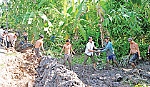 Tân Hưng phát huy truyền thống Anh hùng đi lên xây dựng nông thôn mới
