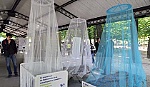 Thế giới vẫn còn 3 tỷ người có nguy cơ mắc bệnh sốt rét