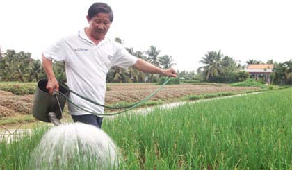 Châu Thành nỗ lực giữ vững và phát triển cây rau màu.