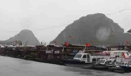 Vessels anchored on Van Don island, Quang Ninh province to avoid the storm. (Photo: VnExpress)