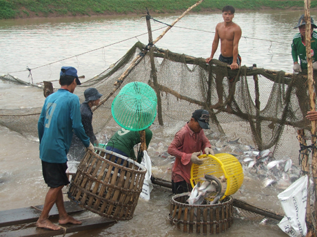 Photo for Illustration (Photo: Thai Thien).