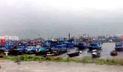 Vessels safe at Tho Quang wharf in Da Nang city. (Image credit: NDO)