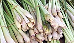 Công dụng của cây sả khiến nhiều người bất ngờ
