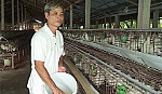 Ông Lê Văn Dũ: Làm giàu nhờ nuôi gà ri