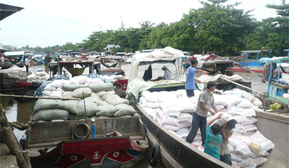 Thương lái thu mua lúa, gạo ở chợ gạo Bà Đắc (xã An Cư, huyện Cái Bè).