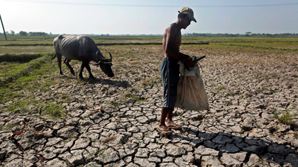 Dried up rice field due to an El Nino-induced drought, in the Philippines. Photo: BloombergDried up rice field due to an El Nino-induced drought, in the Philippines. Photo: Bloomberg