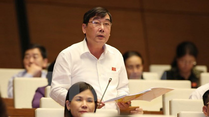  Ho Van Nam, a deputy of southern Dong Nai province, speaks at the plenary session on October 26 (Photo: VNA)