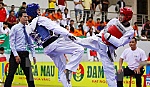 TP. Hồ Chí Minh về nhất Giải vô địch Taekwondo toàn quốc năm 2015