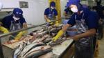 Tra fish industry needs makeover