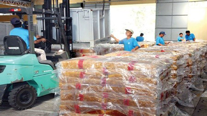 Latex is loaded for export in Binh Duong. Vietnam set an ambitious plan to privatise 432 SOEs from 2014-2015, but only 353 are expected to accomplish that goal. (Source: VNA)