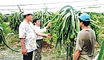 Hội ND xã Thanh Bình: Nòng cốt trong xây dựng phong trào ND SX-KD giỏi