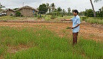 Huyện Tân Phú Đông: Hàng trăm ha lúa bị thiệt hại, nông dân lao đao