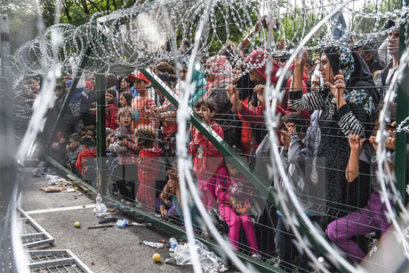 Người di cư và tị nạn tại khu vực hàng rào biên giới giữa Hungari và Serbia ngày 16-9. Nguồn: AFP/TTXVN