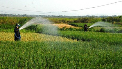 Farmers water their plants in the central province of Quang Ngai. (Source: VNA)