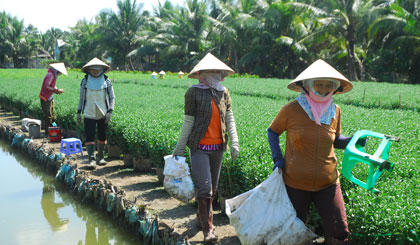 Những người lao động vào nghỉ trưa.
