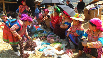 Lao Cai's traditional market - Illustrative image (Source: VNA)