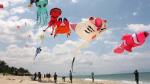 Ninh Thuan to hold international kiteboard event