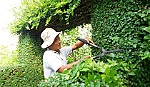 Huyện Cai Lậy: Chung tay với tiêu chí môi trường