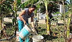 Tân Phú Đông: Nỗi lo thiếu nước sinh hoạt và sản xuất mùa khô