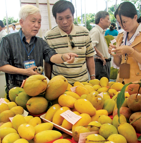  Đại biểu tham quan Hội thi Trái ngon tổ chức tại Tiền Giang năm 2012. Ảnh: Thái Thiện