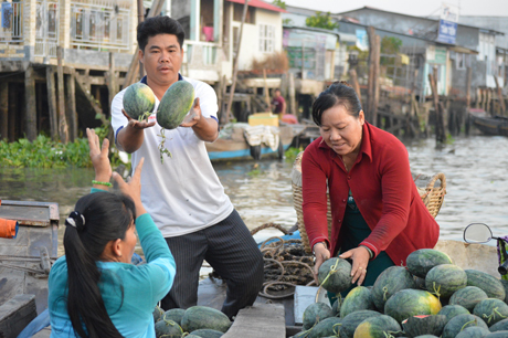 Trao đổi, mua bán dưa hấu ngay trên ghe.