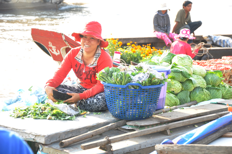 Chị Tuyền tranh thủ phân loại bắp cải, chờ con nước lên cho ghe về quê bán tết cho bà con.