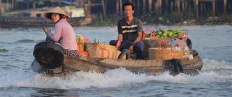 Ghe trái cây hối hả cho kịp chợ. 