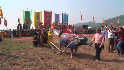 The annual Tich Dien (ploughing) festival in Ha Nam province (Source: nhandan.com.vn)