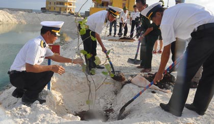 Trồng cây xanh trên đảo Đá Lát điểm A.