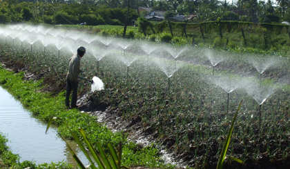 Phong trao nông dân sản xuất - kinh doanh giỏi lan tỏa khắp nơi.