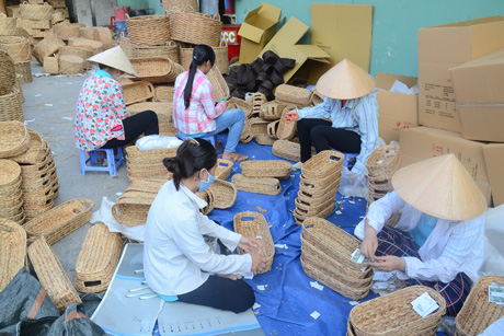 Nhộn nhịp làm hàng tại HTX Quang Minh.