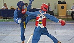 Kết thúc Giải Vovinam Hội khỏe Phù Đổng Tiền Giang lần thứ IX - 2016