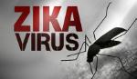 Bộ Y tế chỉ đạo tổ chức chiến dịch phòng chống Zika, sốt xuất huyết