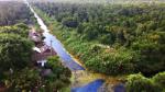 Rare wildlife discovered in U Minh Ha Forest