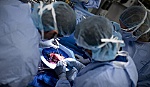 Mỹ thực hiện thành công ca ghép gan giữa 2 bệnh nhân nhiễm HIV